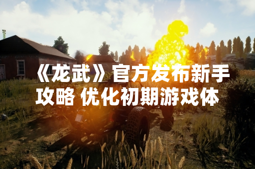 《龙武》官方发布新手攻略 优化初期游戏体验