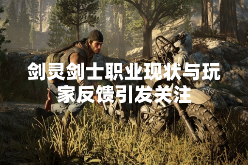 剑灵剑士职业现状与玩家反馈引发关注 剑灵剑士职业现状与玩家反馈引发关注