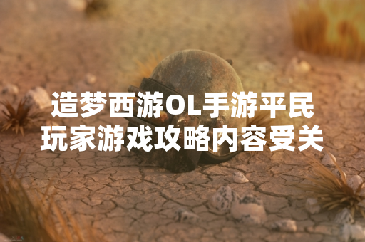 造梦西游OL手游平民玩家游戏攻略内容受关注