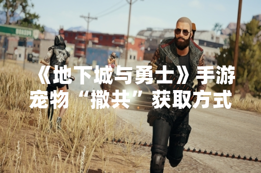 《地下城与勇士》手游宠物“撒共”获取方式随游戏版本更新公布