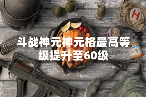 斗战神元神元格最高等级提升至60级 斗战神元神元格最高等级提升至60级