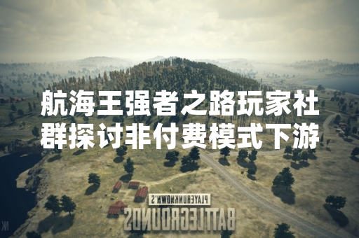 航海王强者之路玩家社群探讨非付费模式下游戏体验优化策略