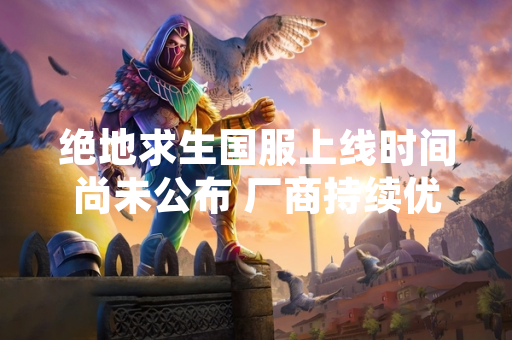 绝地求生国服上线时间尚未公布 厂商持续优化本地化工作