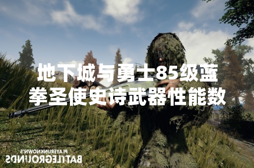 地下城与勇士85级蓝拳圣使史诗武器性能数据与玩家选择参考