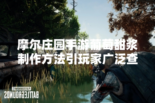 摩尔庄园手游葡萄甜浆制作方法引玩家广泛查询 官方发布详细攻略指南