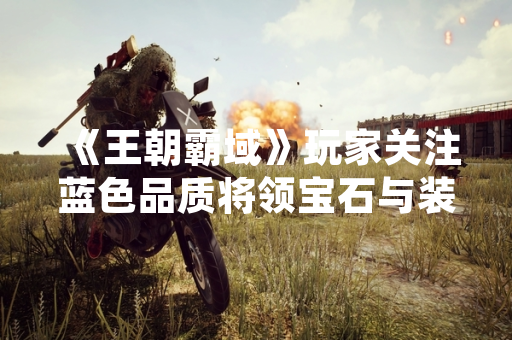 《王朝霸域》玩家关注蓝色品质将领宝石与装备搭配策略