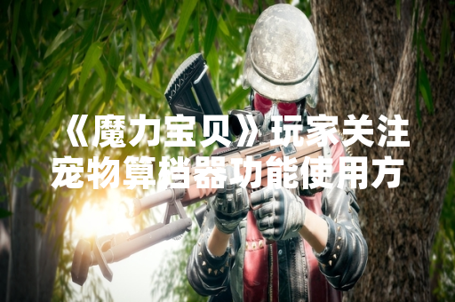 《魔力宝贝》玩家关注宠物算档器功能使用方式