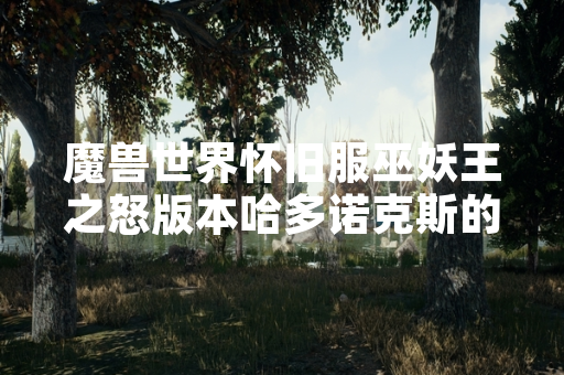 魔兽世界怀旧服巫妖王之怒版本哈多诺克斯的闭门羹成就完成方法发布