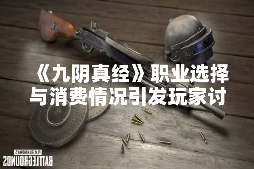 《九阴真经》职业选择与消费情况引发玩家讨论