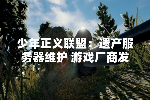 少年正义联盟：遗产服务器维护 游戏厂商发布临时停机公告