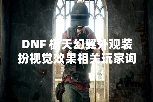 DNF 极天幻翼外观装扮视觉效果相关玩家询问