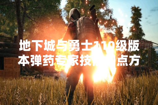 地下城与勇士110级版本弹药专家技能加点方案引发玩家关注
