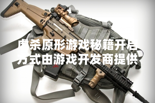 虐杀原形游戏秘籍开启方式由游戏开发商提供具体操作指南