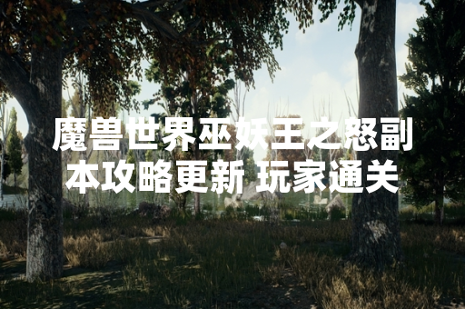 魔兽世界巫妖王之怒副本攻略更新 玩家通关效率显著提升