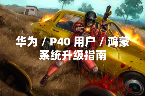 华为 / P40 用户 / 鸿蒙系统升级指南