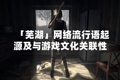 「芜湖」网络流行语起源及与游戏文化关联性分析