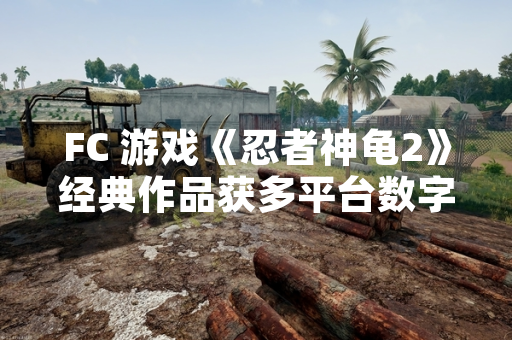 FC 游戏《忍者神龟2》经典作品获多平台数字版发布支持