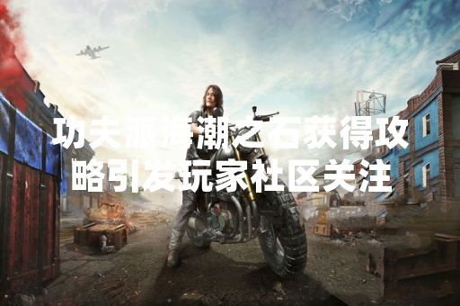 功夫派海潮之石获得攻略引发玩家社区关注