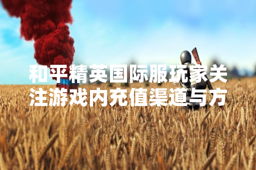 和平精英国际服玩家关注游戏内充值渠道与方式