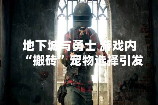 地下城与勇士 游戏内“搬砖”宠物选择引发玩家社区讨论