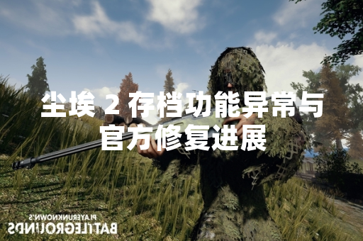 尘埃 2 存档功能异常与官方修复进展