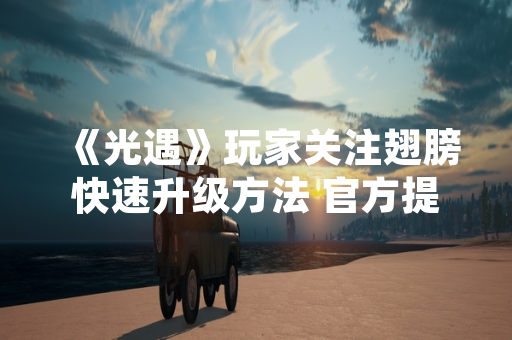 《光遇》玩家关注翅膀快速升级方法 官方提供明确指引