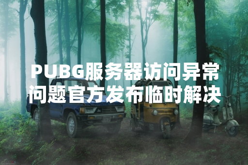 PUBG服务器访问异常问题官方发布临时解决方案