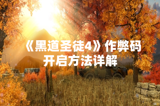 《黑道圣徒4》作弊码开启方法详解