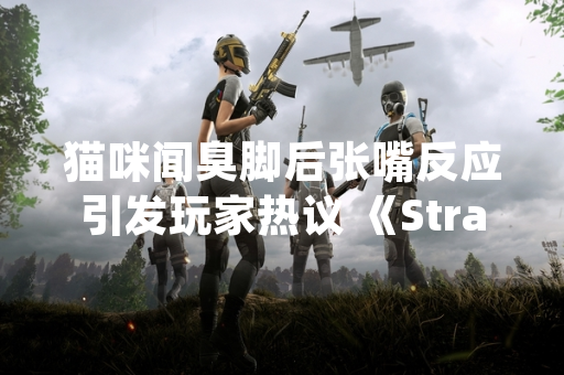 猫咪闻臭脚后张嘴反应引发玩家热议 《Stray》或将更新动物行为彩蛋