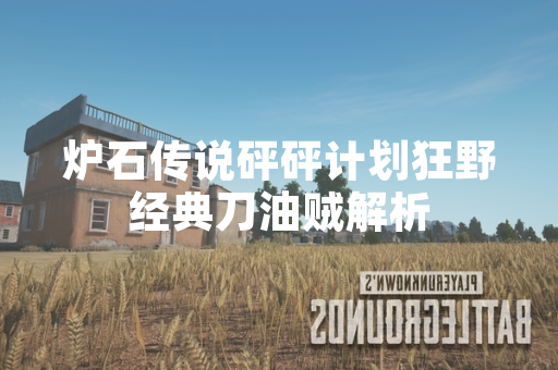 炉石传说砰砰计划狂野经典刀油贼解析