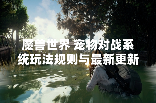 魔兽世界 宠物对战系统玩法规则与最新更新公布