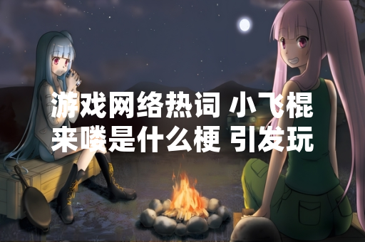 游戏网络热词 小飞棍来喽是什么梗 引发玩家关注与游戏厂商响应