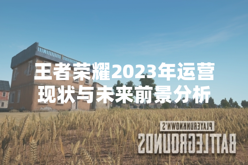 王者荣耀2023年运营现状与未来前景分析