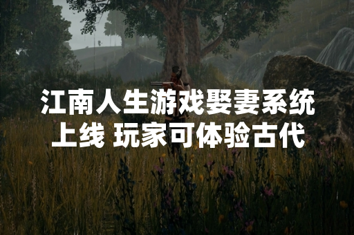 江南人生游戏娶妻系统上线 玩家可体验古代婚俗流程