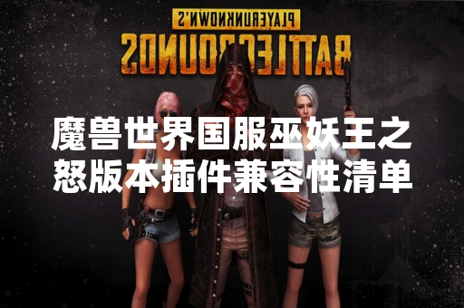 魔兽世界国服巫妖王之怒版本插件兼容性清单更新引发玩家关注