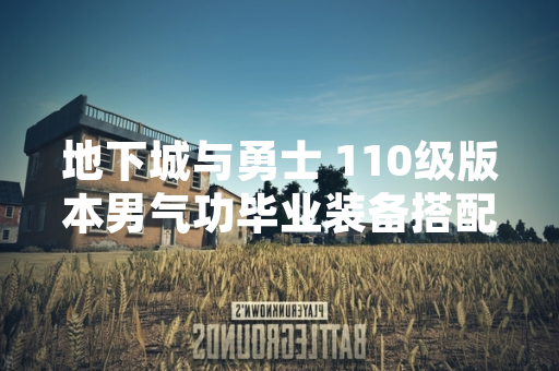 地下城与勇士 110级版本男气功毕业装备搭配方案公布