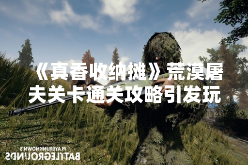 《真香收纳摊》荒漠屠夫关卡通关攻略引发玩家热议
