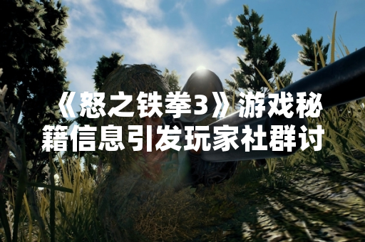 《怒之铁拳3》游戏秘籍信息引发玩家社群讨论
