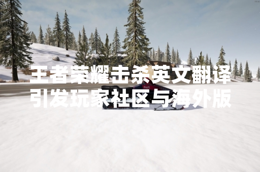 王者荣耀击杀英文翻译引发玩家社区与海外版本讨论