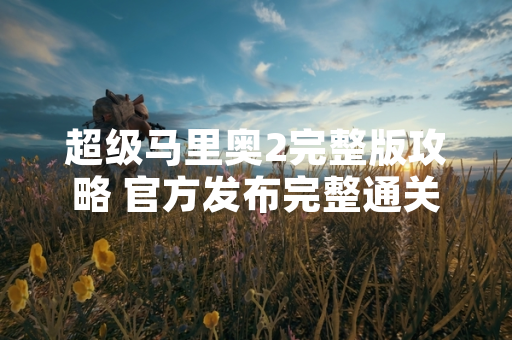 超级马里奥2完整版攻略 官方发布完整通关指南