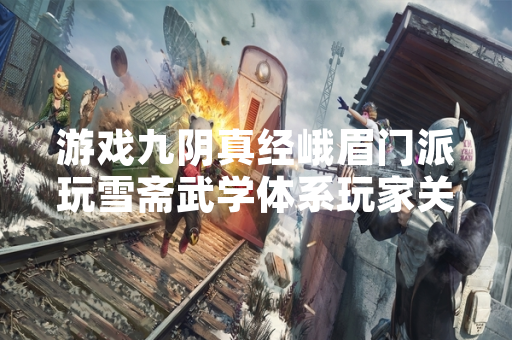 游戏九阴真经峨眉门派玩雪斋武学体系玩家关注度提升