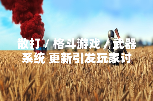 散打 / 格斗游戏 / 武器系统 更新引发玩家讨论