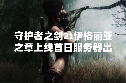 守护者之剑2:伊格丽亚之章上线首日服务器出现大规模连接异常