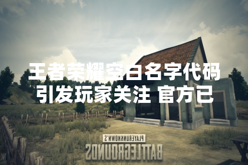 王者荣耀空白名字代码引发玩家关注 官方已进行技术修复