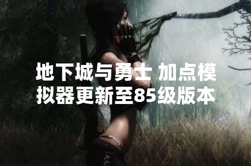 地下城与勇士 加点模拟器更新至85级版本引发玩家讨论
