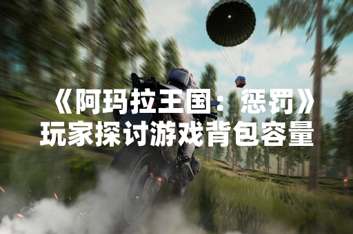 《阿玛拉王国：惩罚》玩家探讨游戏背包容量问题与相关游戏机制