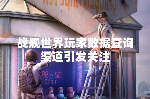 战舰世界玩家数据查询渠道引发关注