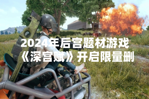 2024年后宫题材游戏《深宫赋》开启限量删档测试