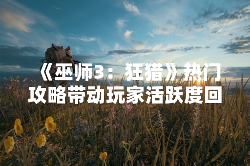 《巫师3：狂猎》热门攻略带动玩家活跃度回升 官方数据显示周均访问量增长40%