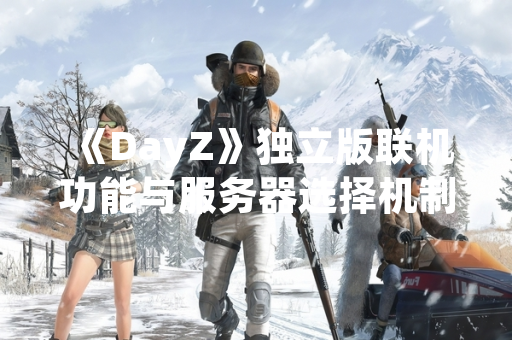 《DayZ》独立版联机功能与服务器选择机制说明